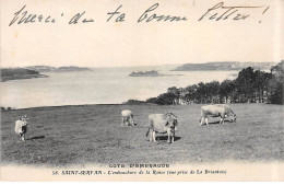 SAINT SERVAN - L'embouchure De La Rance - Vue Prise De La Briantais - Très Bon état - Saint Servan