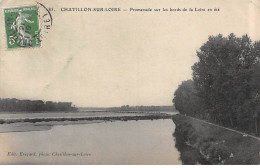 CHATILLON SUR LOIRE - Promenade Sur Les Bords De La Loire En été - Evezard - état - Chatillon Sur Loire