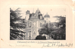 CHATEAUNEUF SUR LOIRE - Le Château De L'Etang - état - Autres & Non Classés
