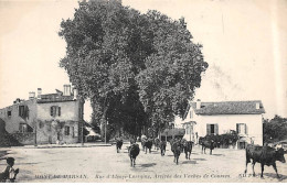 MONT DE MARSAN - Rue D'Alsace Lorraine - Arrivée Des Vaches De Courses - Très Bon état - Mont De Marsan