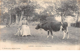 LANDES - Soir D'été - Sus Le Cantaille - Très Bon état - Other & Unclassified