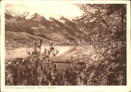 11627107 Sachseln OW Sarnersee Panorama Sachseln - Andere & Zonder Classificatie