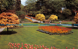 R065222 Kingsnorth Gardens. Folkestone - World