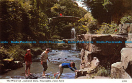 R065224 The Waterfall. Jesmond Dene. Newcastle Upon Tyne. Dennis - World