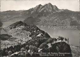 11627055 Buergenstock Berghaus Hammetschwand Fliegeraufnahme Buergenstock - Other & Unclassified