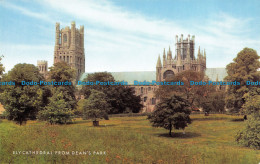 R064815 Ely Cathedral From Deans Park. Salmon - World