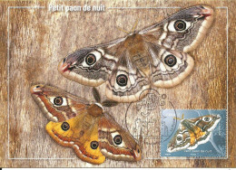 30847 - Carte Maximum - France - Petit Paon De Nuit - Saturnia Pavonia - Traça - Small Emperor Moth - 2020-…