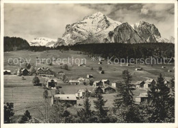 11626849 Wildhaus SG Hotel Acker Mit Schafberg Appenzeller Alpen Wildhaus SG - Autres & Non Classés