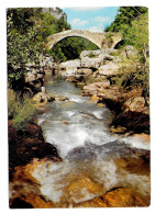 (48). Meyrueis. (1) 1974. Pont Du Capélan - Meyrueis