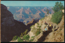 °°° 30877 - USA - AZ - GRAND CANYON NATIONAL PARK °°° - Grand Canyon