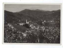 MALLARE (Savona) Panorama 1941 - Andere & Zonder Classificatie