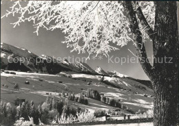 11626620 Wildhaus SG Winterimpressionen Blick Zu Den Churfirsten Appenzeller Alp - Autres & Non Classés