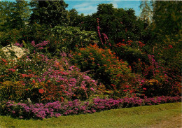 TROIS ILETS DOMAINE ENCLOT FLEURI A LA PAGERIE (scan Recto-verso) Ref 1018 - Otros & Sin Clasificación