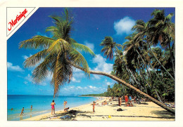 SALINES GRANDE ANSE (scan Recto-verso) Ref 1017 - Other & Unclassified