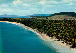 SALINES PLAGE DES COCOTIERS (scan Recto-verso) Ref 1017 - Other & Unclassified