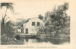 ST PIERRE UNE PLANTATION   (scan Recto-verso) Ref 1016 - Andere & Zonder Classificatie