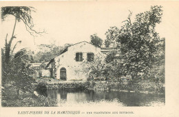 ST PIERRE UNE PLANTATION   (scan Recto-verso) Ref 1016 - Other & Unclassified