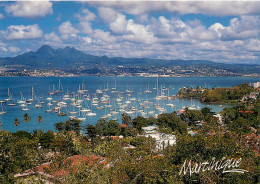 MARTINIQUE  Anse  MITAN (scan Recto-verso) Ref 1014 - La Trinite