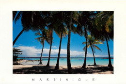 MARTINIQUE Cote Atlantique à L'ombre Des Palmiers (scan Recto-verso) Ref 1014 - Fort De France