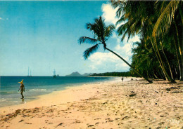 MARTINIQUE   Salines BEACH  La Plage Des Salines  (scan Recto-verso) Ref 1010 - Otros & Sin Clasificación