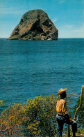 MARTINIQUE  Le Rocher Du Diamant (scan Recto-verso) Ref 1007 - Andere & Zonder Classificatie