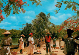 MARTINIQUE   Le Marché à Trois Rivières Sous Les Flamboyants ( Recto-verso) Ref 1007 - Autres & Non Classés