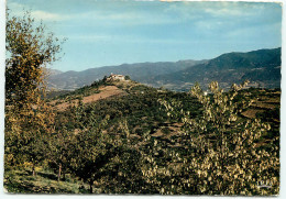 ROUSSILLON, L'Ermitage St-Ferréol Aux Environs De Ceret (scan Recto-verso) Ref 1041 - Roussillon