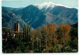 ROUSSILLON, St-Michel-de-Cuxa, Et Le Massif Du Canigou (scan Recto-verso) Ref 1041 - Roussillon