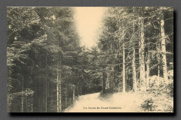 Les Sapins Du Grand-Colombier (scan Recto-verso) Ref 1035 - Zonder Classificatie