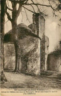 Chatillon-sur-Seine, Ruines Du Château Des Ducs De Bourgogne (scan Recto-verso) Ref 1024 - Chatillon Sur Seine