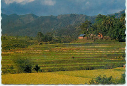 Indonesie Pemandangam Alam  (scan Recto-verso) Ref 1064 - Indonesia