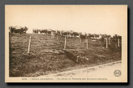 CAMP DE VACHERIE SUR LES HAUTS PLATEAUX (scan Recto-verso) Ref 1060 - Autres & Non Classés