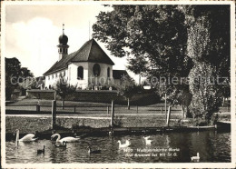 11626577 Wil SG Wallfahrtskirche Maria Dreibrunnen Schwanenteich Wil SG - Sonstige & Ohne Zuordnung