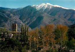 ST-MICHEL-de-CUXA, Massif Du Canigou (scan Recto-verso) Ref 1045 - Roussillon