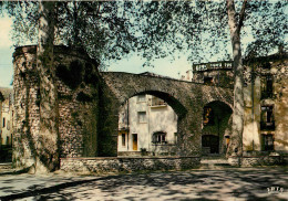 CERET, Vieille Porte Et Tour (scan Recto-verso) Ref 1045 - Ceret