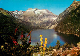 HAUTES VALLE D'AURE, Le Lac D'Oredon Et Le Massfi D'Estaragne (scan Recto-verso) Ref 1045 - Sonstige & Ohne Zuordnung