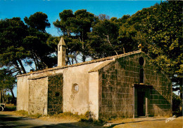 AGDE L'eglise Notre Dame Du Grau (scan Recto-verso) Ref 1097 - Agde