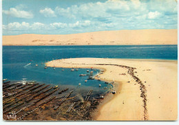 ARCACHON Le Banc D'arguin Et La Dune Du Pilat  (scan Recto-verso) Ref 1096 - Arcachon