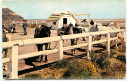 AIGUE MORTE La Camargue Un RANCH CAMARGUAIS  (scan Recto-verso) Ref 1093 - Aigues-Mortes