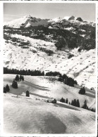 11626567 Wildhaus SG Panorama Berghaus Iltios Blick Gegen Appenzeller Alpen Skig - Andere & Zonder Classificatie