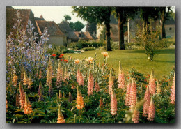 APREMONT Le Parc Floral (scan Recto-verso) Ref 1081 - Sonstige & Ohne Zuordnung