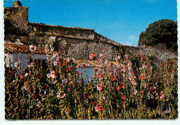 TALMONT Les Passeroses  (scan Recto-verso) Ref 1080 - Other & Unclassified