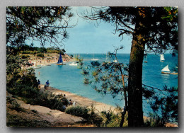 Ile De Ré Les Portes En Ré Le Fier Anse De Trousse Chemise  (scan Recto-verso) Ref 1073 - Ile De Ré