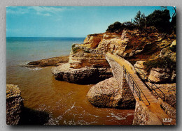 SAINT PALAIS SUR MER  Le Pont Des Contrebandiers  (scan Recto-verso) Ref 1073 - Saint-Palais-sur-Mer