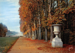 78  VERSAILLE  Le Tapis Vert Et Le Bassin D'Apollon (Scan R/V) N°   20   \PP1099Vic - Versailles (Schloß)