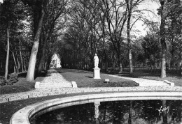 92 SCEAUX  Le Parc Allée De La Duchesse  (Scan R/V) N°   50   \PP1099Und - Sceaux