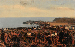 83  CAVALAIRE-sur-MER Vue Panoramique  (Scan R/V) N°   31   \PP1099Ter - Cavalaire-sur-Mer