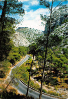 83  Ollioules La Route Des  Gorges  (Scan R/V) N°   17   \PP1099Ter - Ollioules