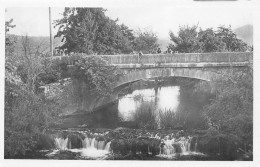 83  Brignoles  Le Pré De Pâques   Pont Sur Le CARAMY      (Scan R/V) N°   7   \PP1099Ter - Brignoles