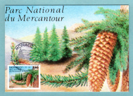 Carte Maximum Monaco 1991 - National Du Mercantour - Conifères - épicéa - YT 1799 - Maximumkaarten